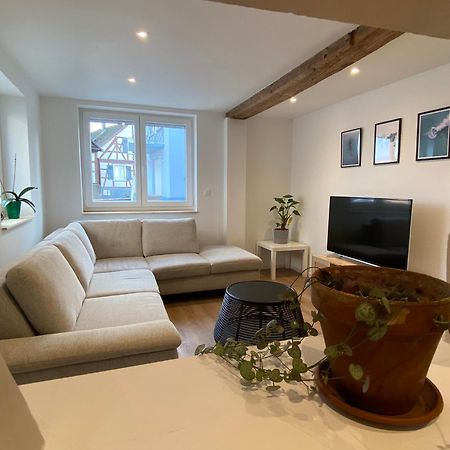 Appartement Confortable Soufflenheim Eksteriør bilde